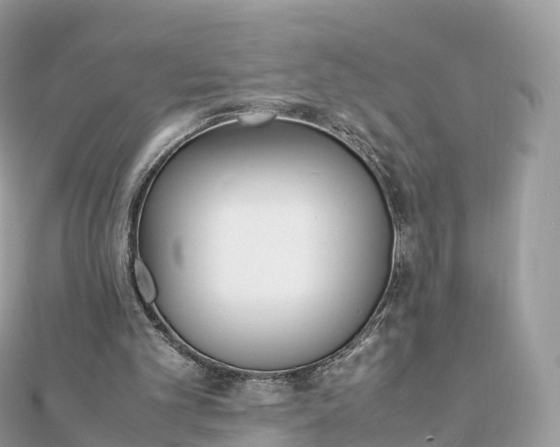 X0000111850101200907301119