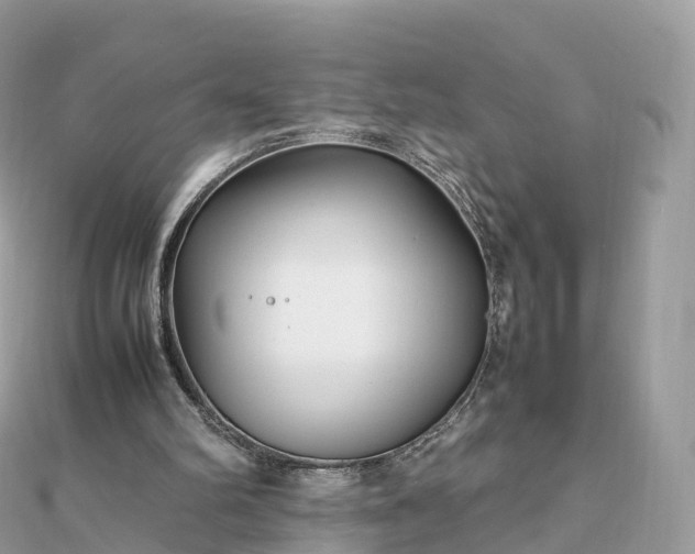 X0000111850102200907301119