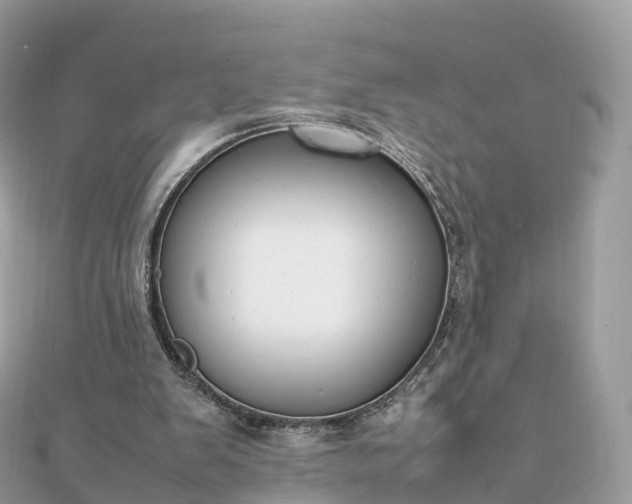 X0000111850103200907301119