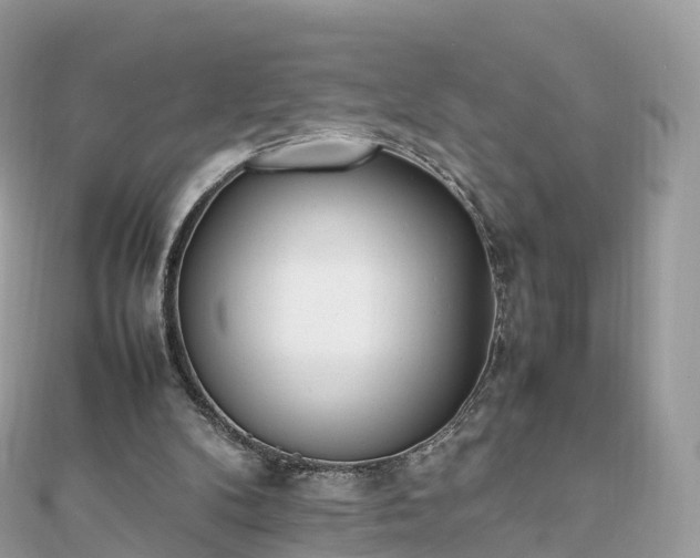 X0000111850104200907301119