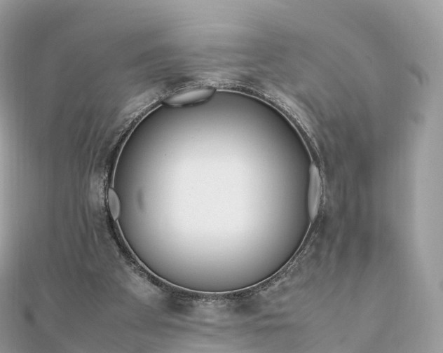 X0000111850105200907301119