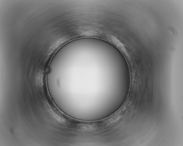 X0000111850106200907301119