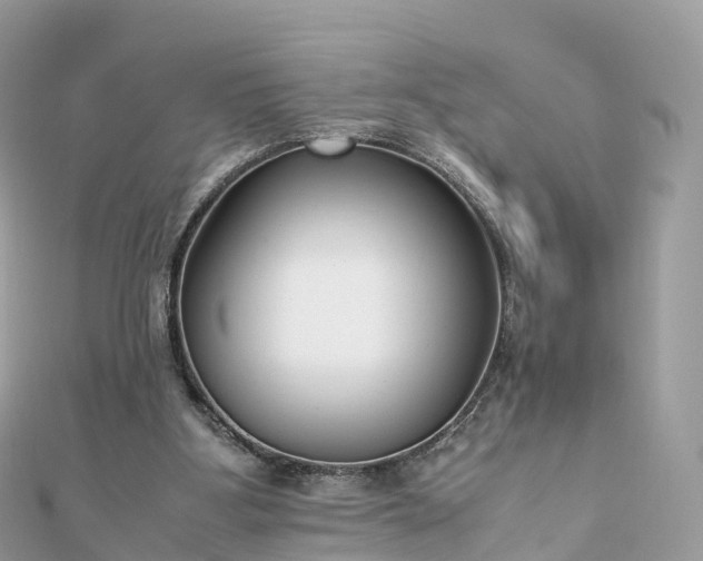 X0000111850107200907301119