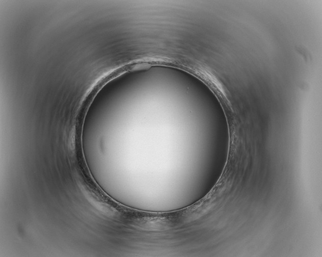 X0000111850108200907301119