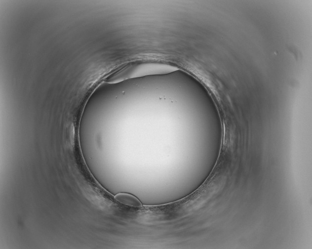 X0000111850109200907301119