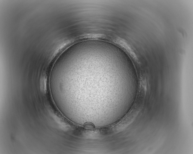 X0000111850110200907301119