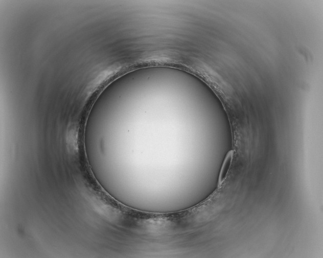 X0000111850112200907301119