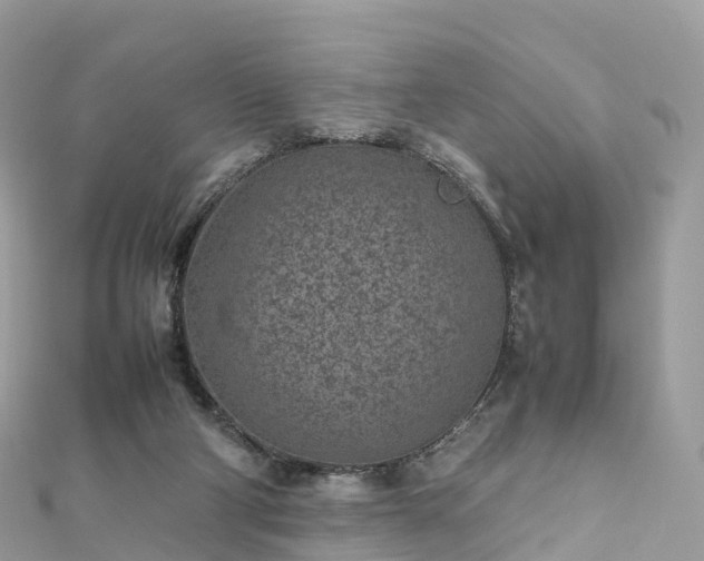 X0000111850114200907301119