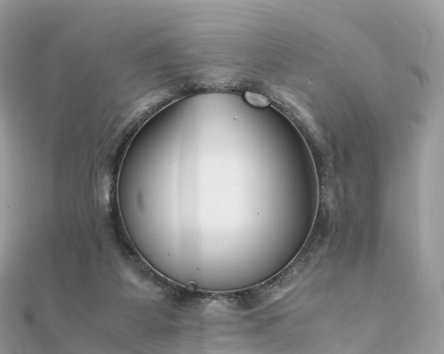 X0000111850115200907301119