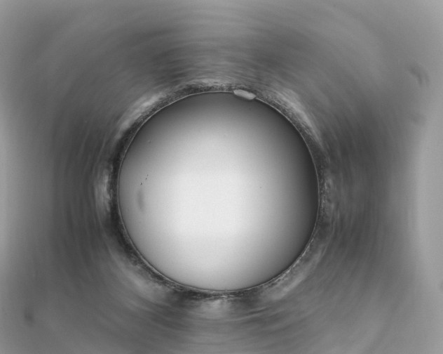 X0000111850116200907301119