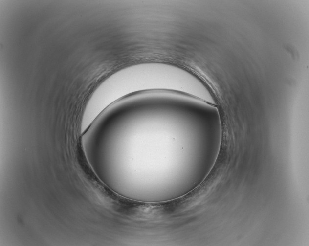 X0000111850117200907301119