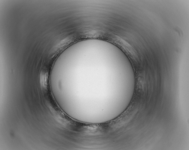 X0000111850118200907301119