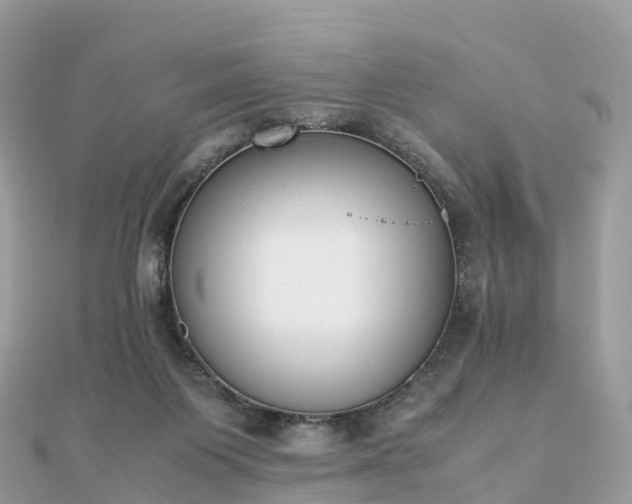 X0000111850119200907301119