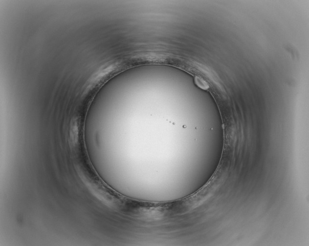 X0000111850120200907301119