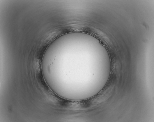 X0000111850121200907301119