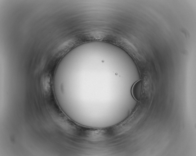 X0000111850122200907301119