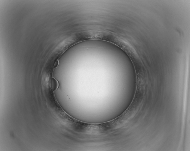 X0000111850123200907301119