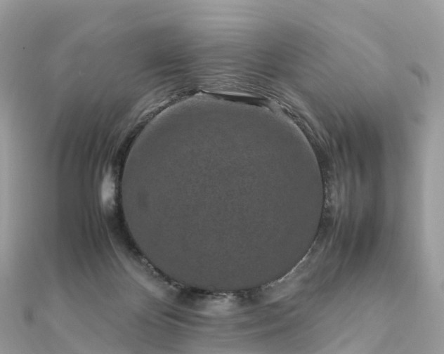 X0000111850124200907301119