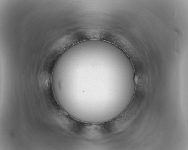 X0000111850125200907301119