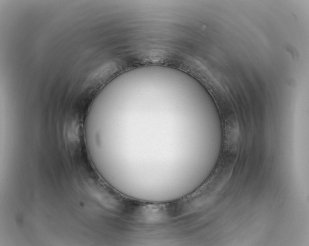 X0000111850126200907301119