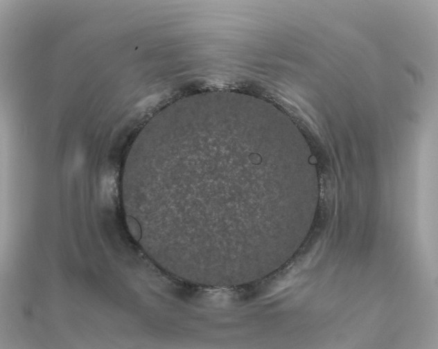 X0000111850127200907301119