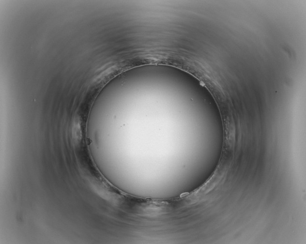 X0000111850128200907301119