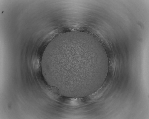 X0000111850130200907301119