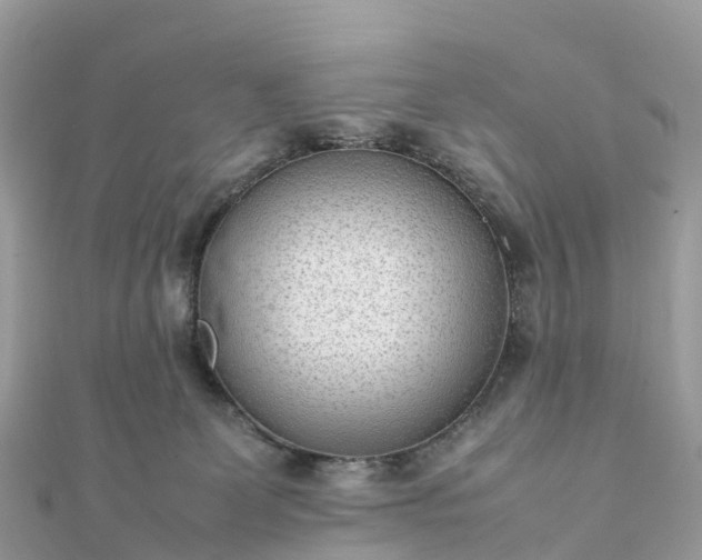 X0000111850131200907301118