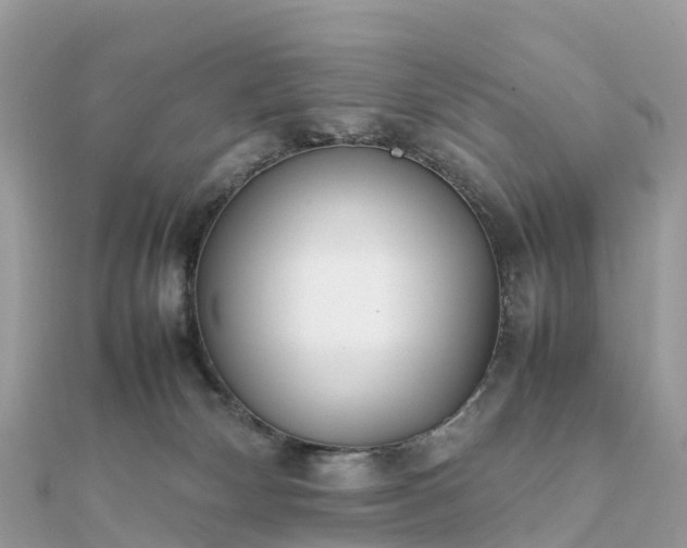 X0000111850132200907301118