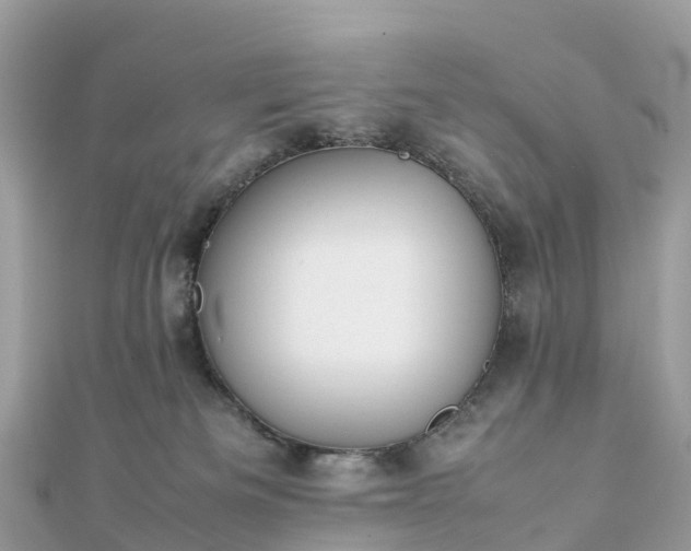 X0000111850133200907301118