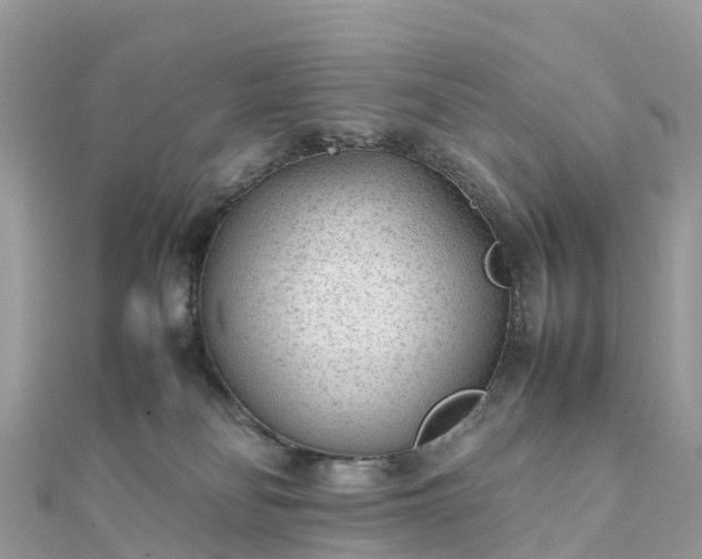 X0000111850134200907301118