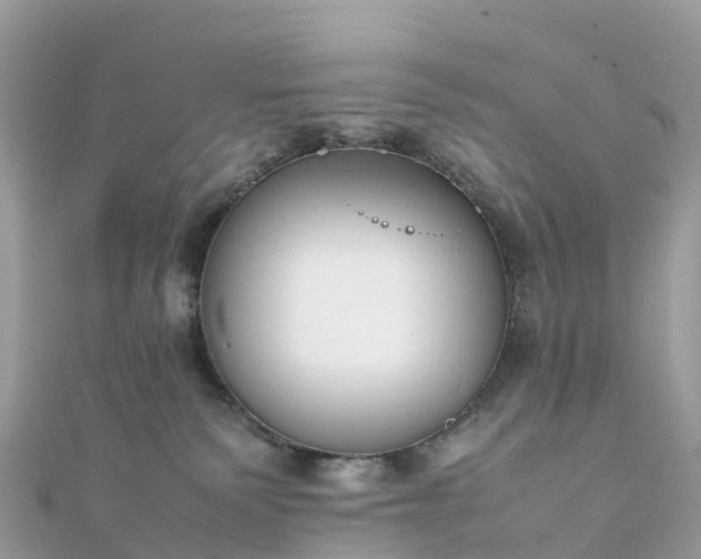 X0000111850135200907301118