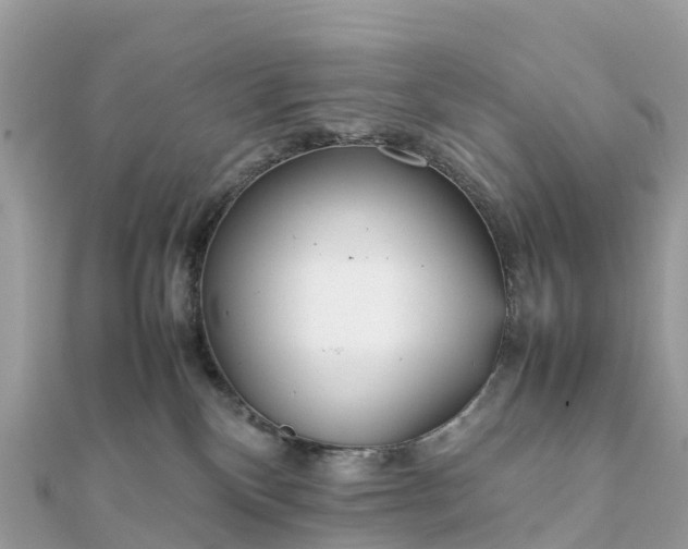 X0000111850136200907301118