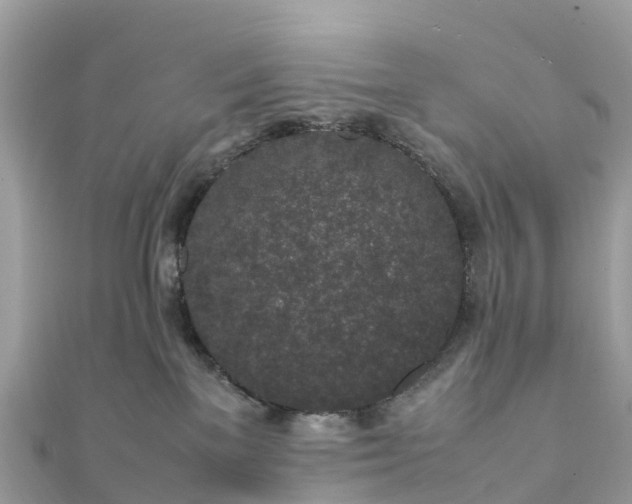 X0000111850137200907301118