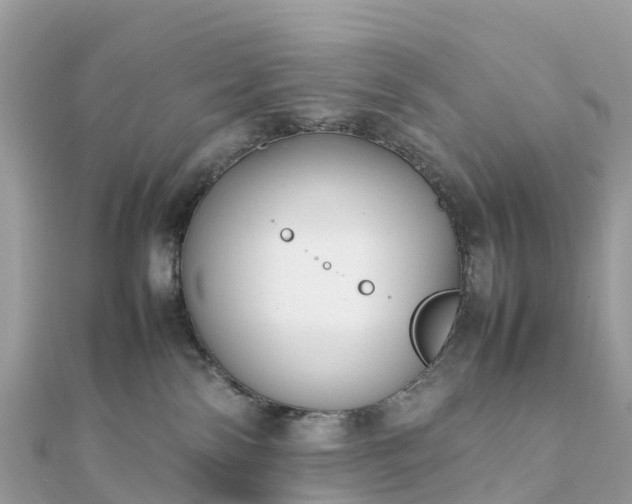 X0000111850138200907301118