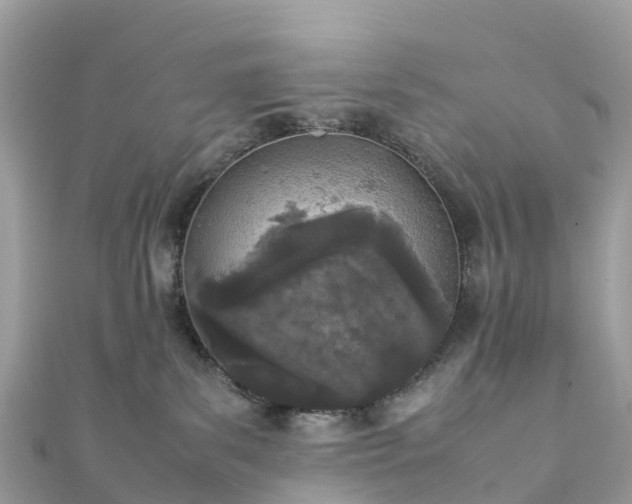 X0000111850139200907301118