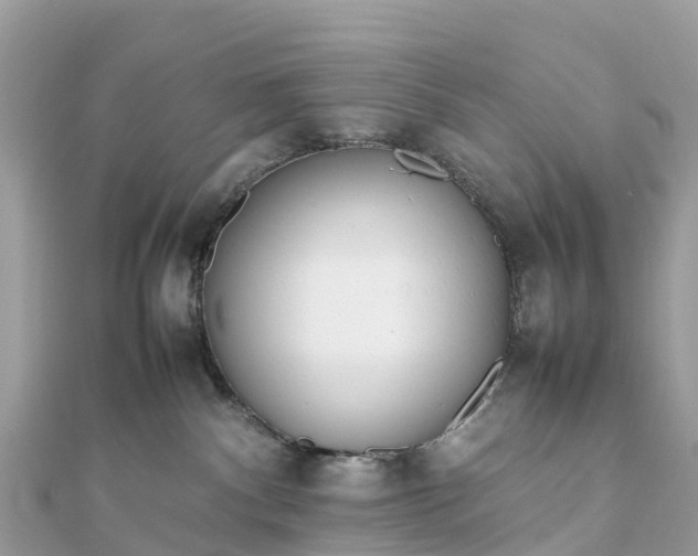 X0000111850140200907301118