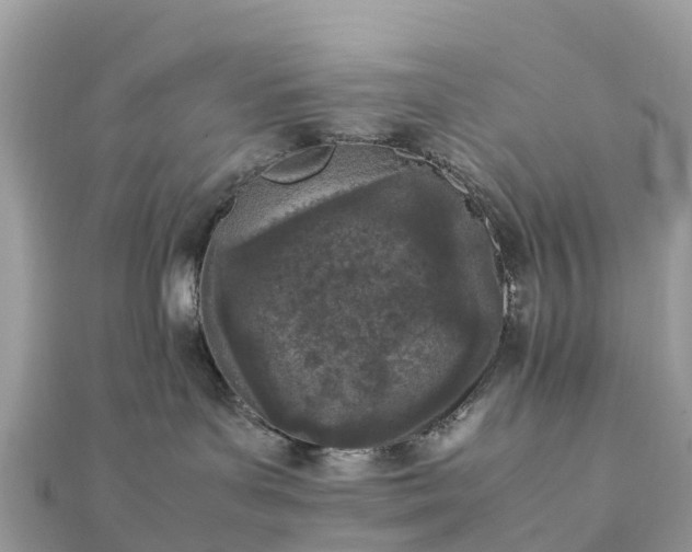 X0000111850143200907301118