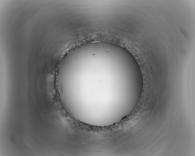 X0000111850144200907301118