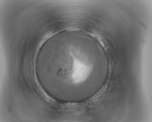 X0000111850145200907301117