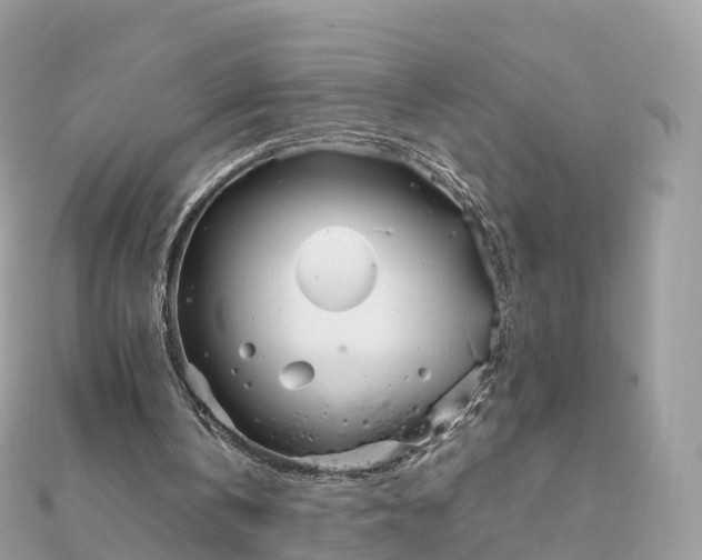 X0000111850146200907301117