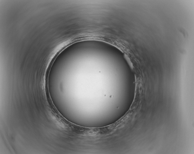 X0000111850148200907301117