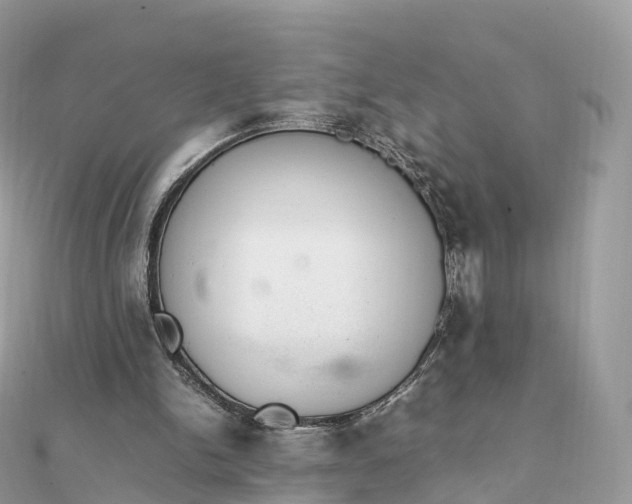 X0000111850150200907301118