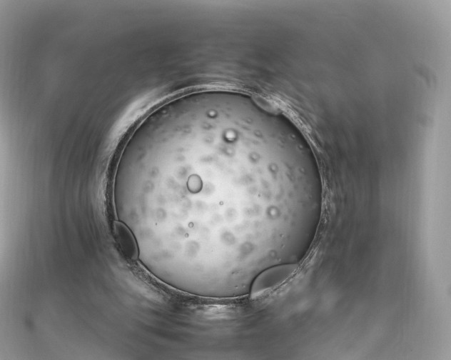 X0000111850151200907301118