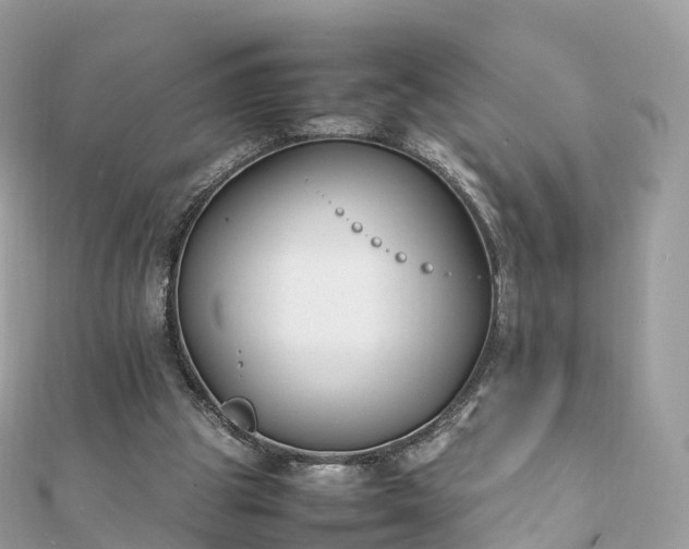 X0000111850153200907301118