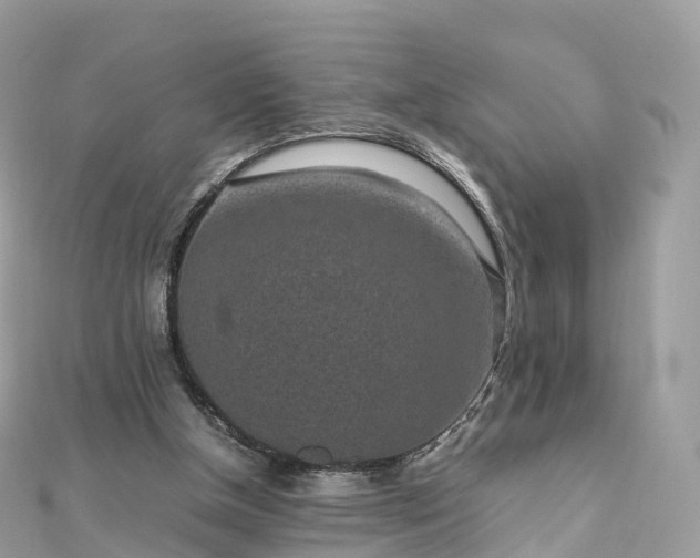 X0000111850154200907301118