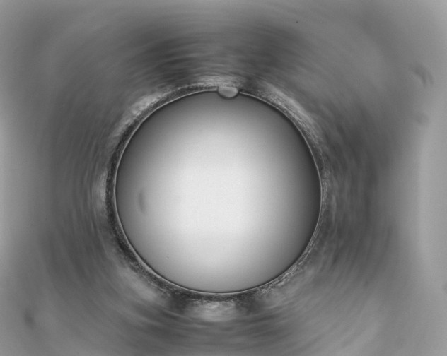 X0000111850155200907301118