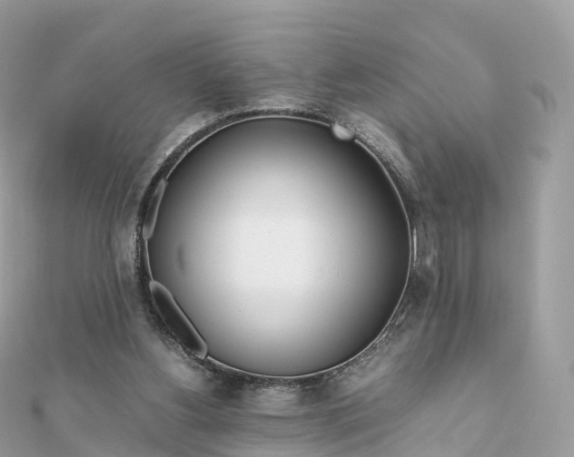 X0000111850156200907301118