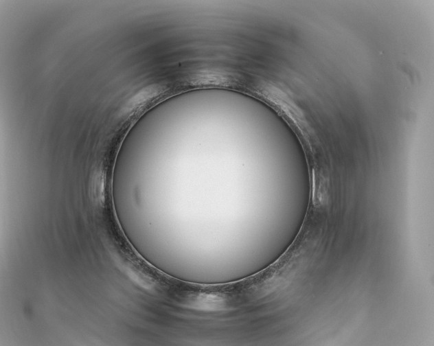 X0000111850157200907301118