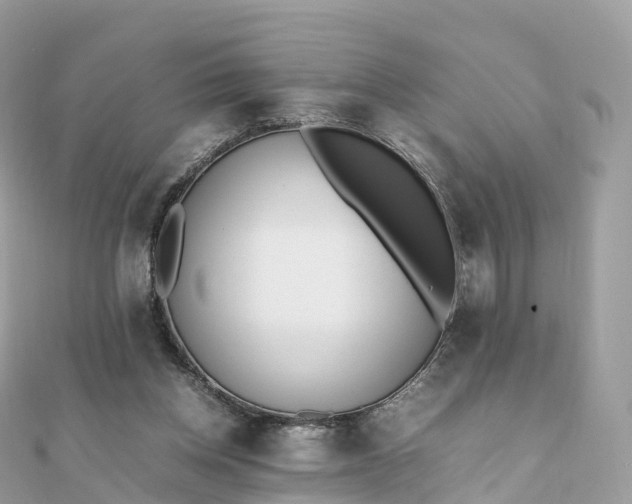 X0000111850158200907301118